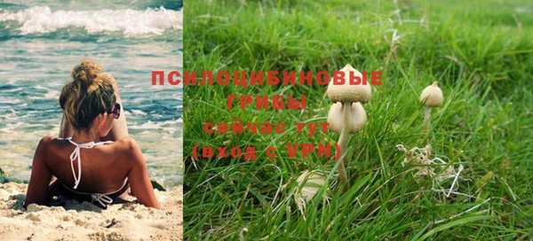 стафф Михайловка