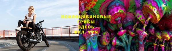 a pvp Алексин