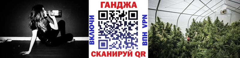 закладки  Фурманов  Конопля сатива 